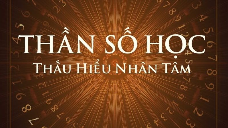 地铺石瓷砖与石英砖：性能对比与选购要点